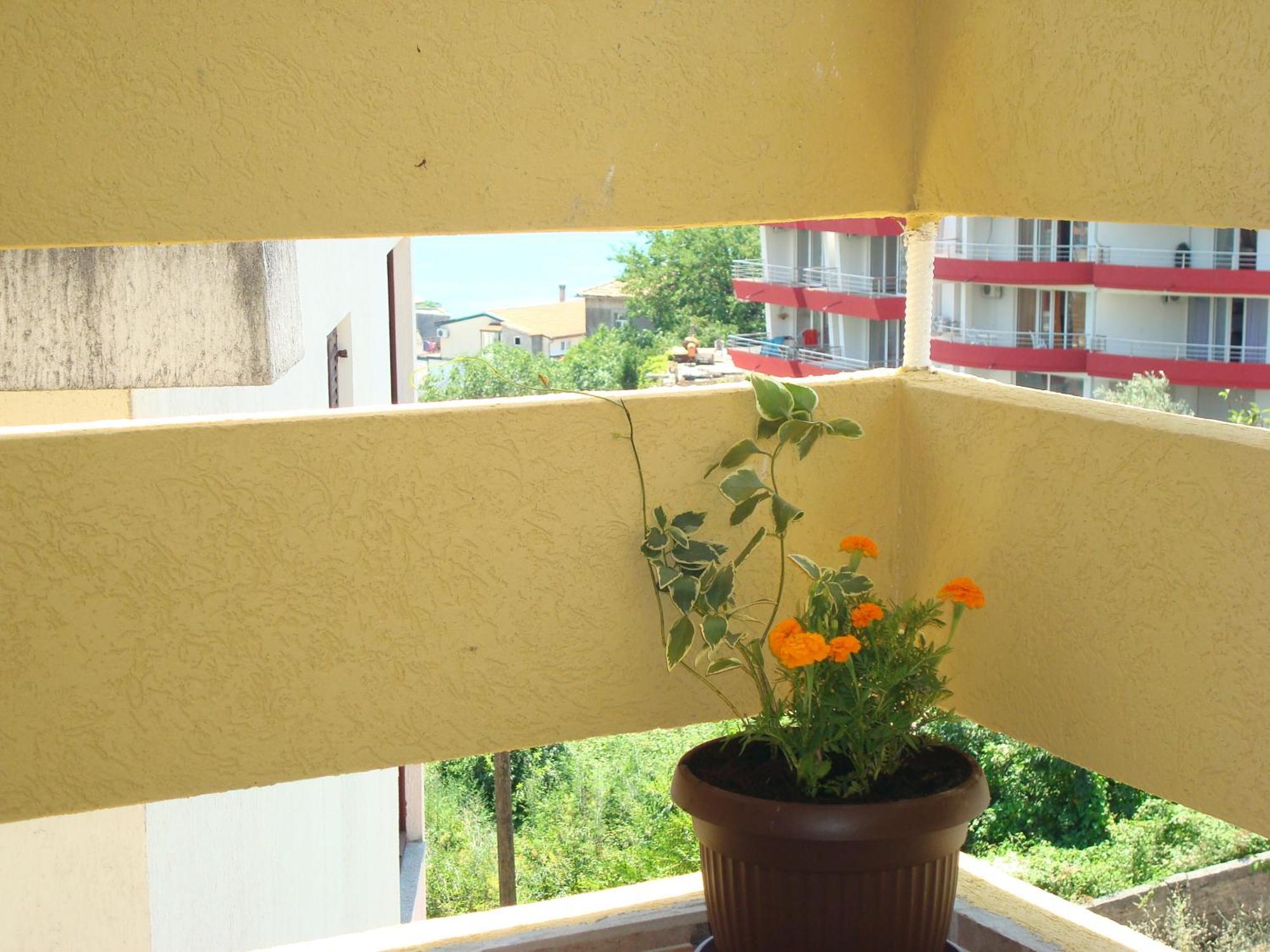 Apartments Cejovic อุลซิน ภายนอก รูปภาพ